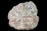 Polished Baker Ranch Thunderegg - New Mexico #146588-1